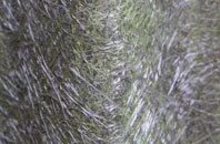 Houbie fibreglass roof work